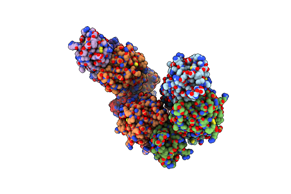 3P1Z image