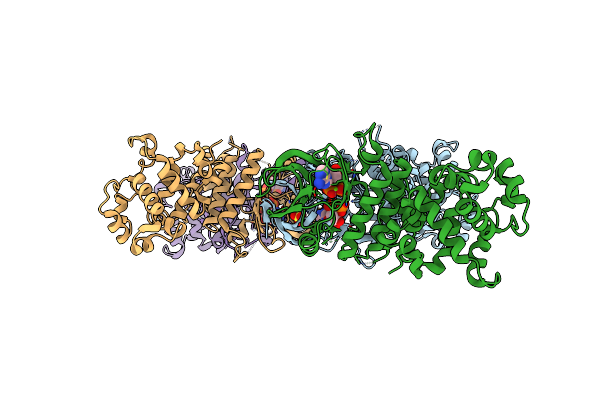 3P23 image