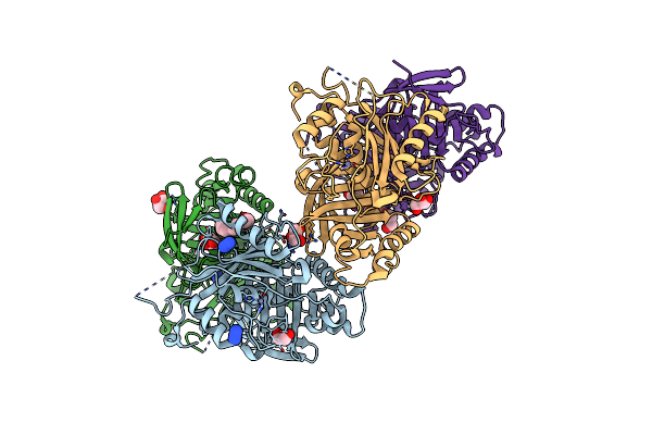 3P24 image