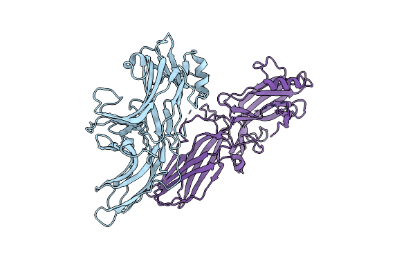 3P2D image