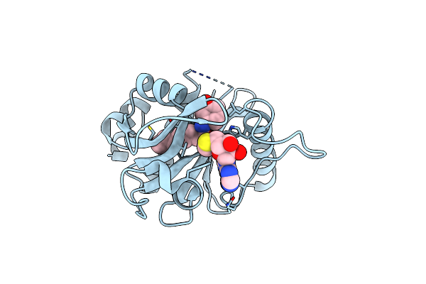 3P2H image