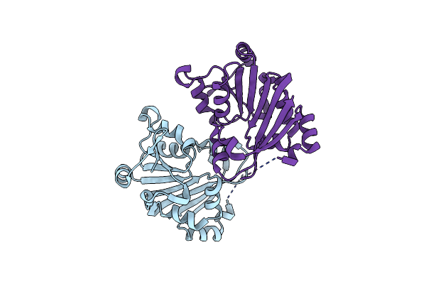 3P2I image