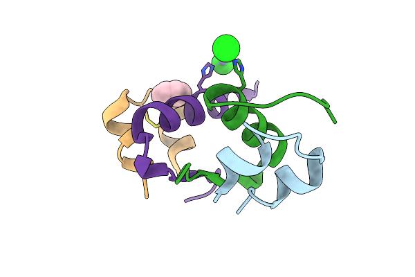 3P2X image