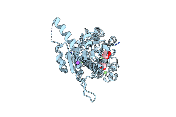 3P2Y image