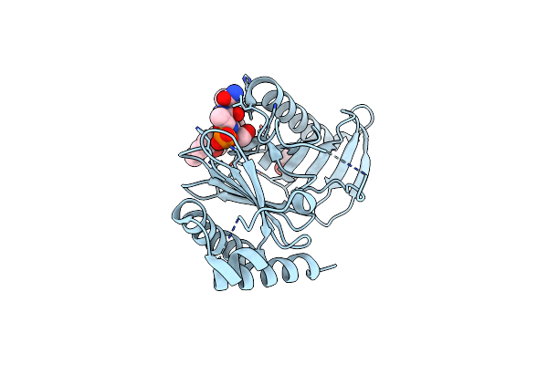 3P2Z image