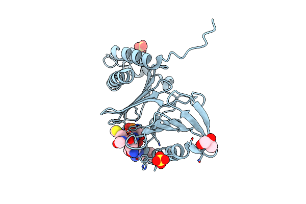 3P34 image