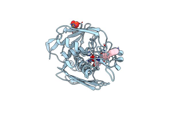 3P3C image