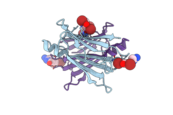 3P3S image