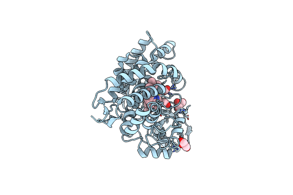 3P3Z image