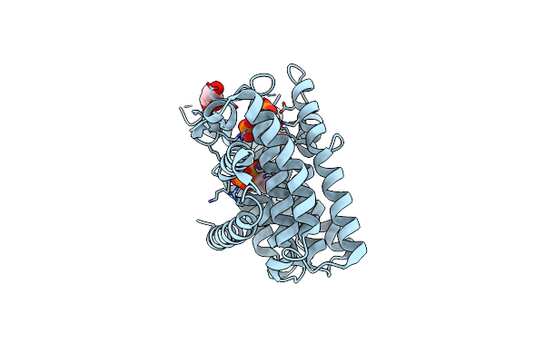 3P41 image