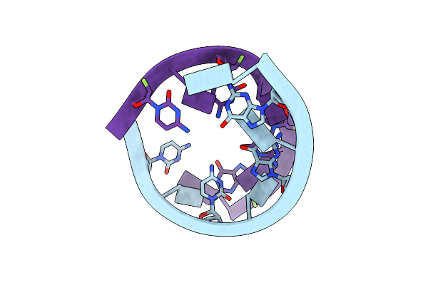 3P4D image