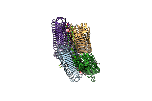 3P4G image