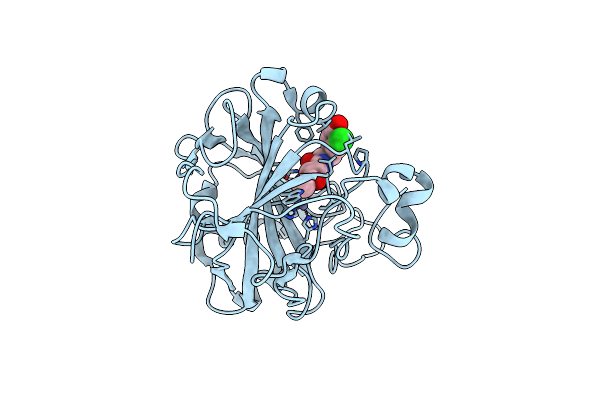 3P4V image