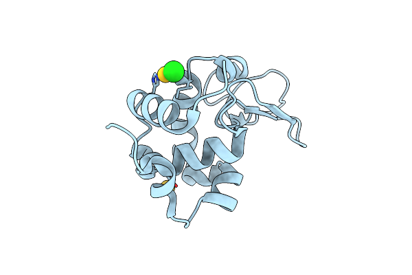 3P4Z image