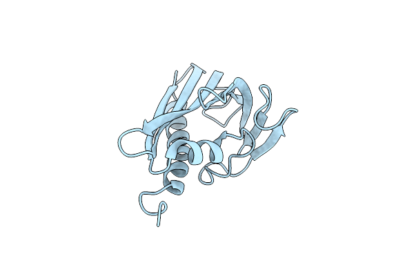 3P51 image