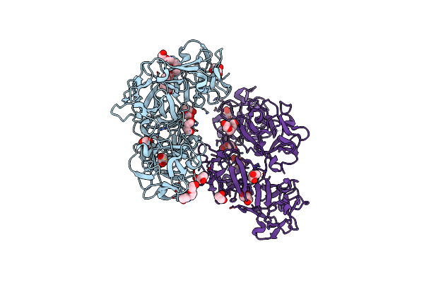 3P53 image