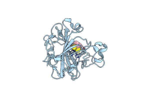 3P58 image
