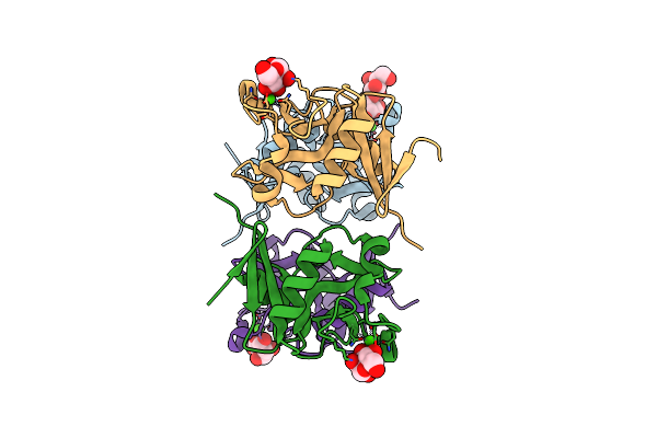 3P5D image