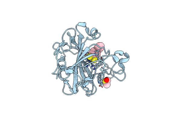 3P5L image