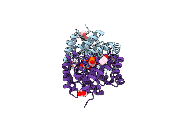 3P5Z image
