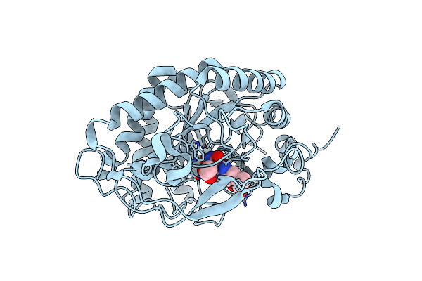 3P62 image