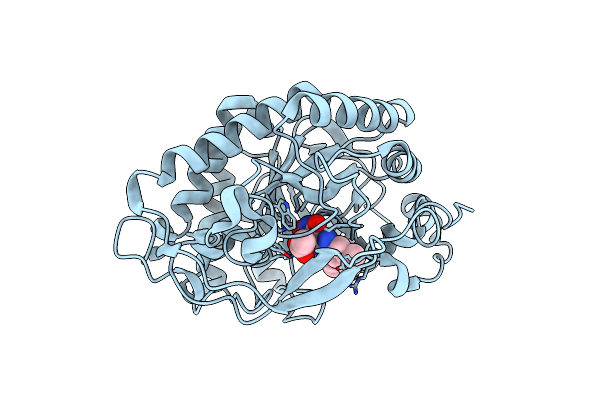 3P67 image