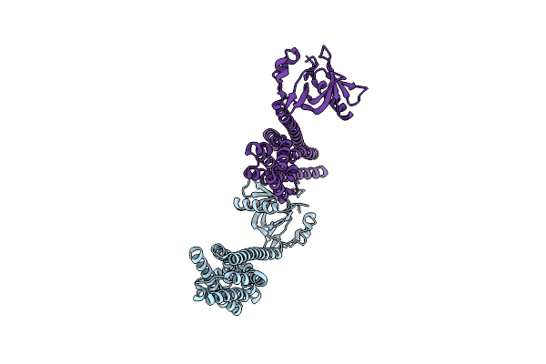 3P6A image