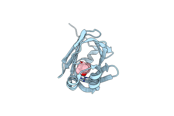 3P6H image