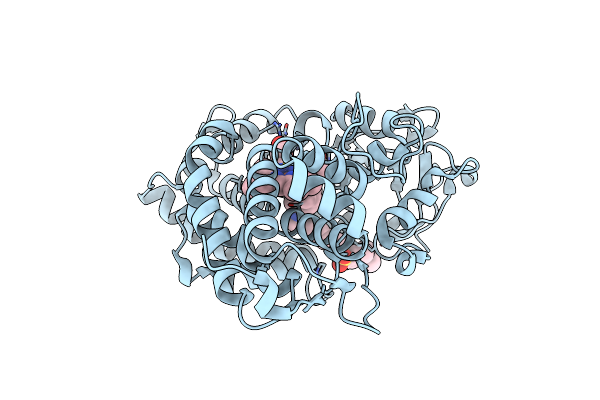 3P6N image