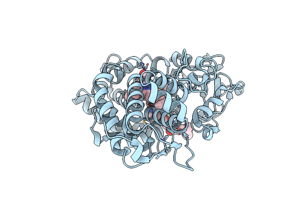 3P6O image
