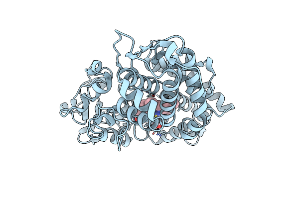 3P6V image