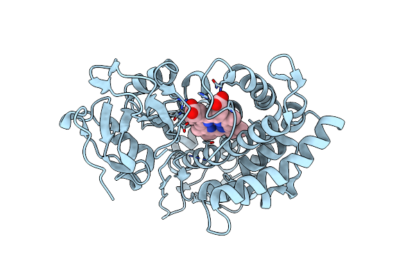 3P6W image