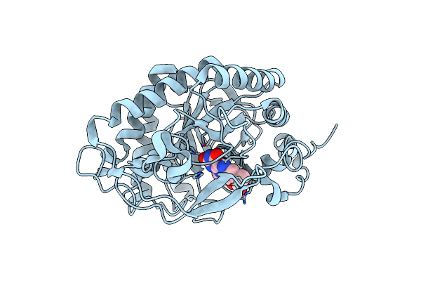 3P74 image