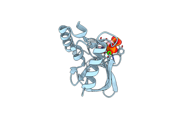 3P75 image