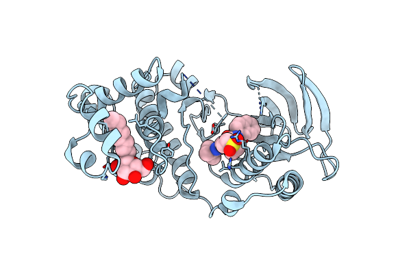 3P79 image