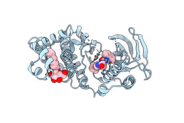3P7B image