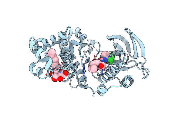 3P7C image