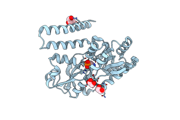 3P7I image