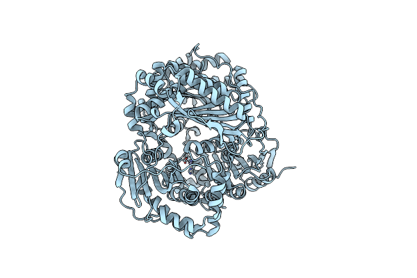 3P7L image