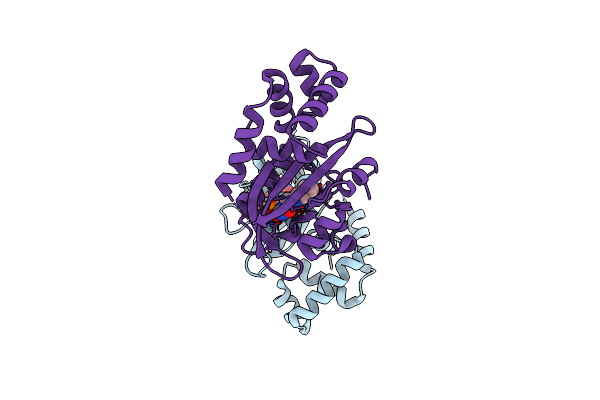3P7N image