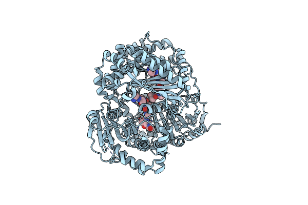 3P7O image