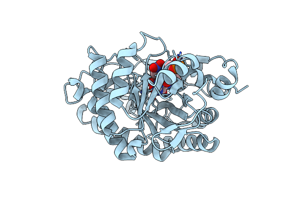 3P7Y image