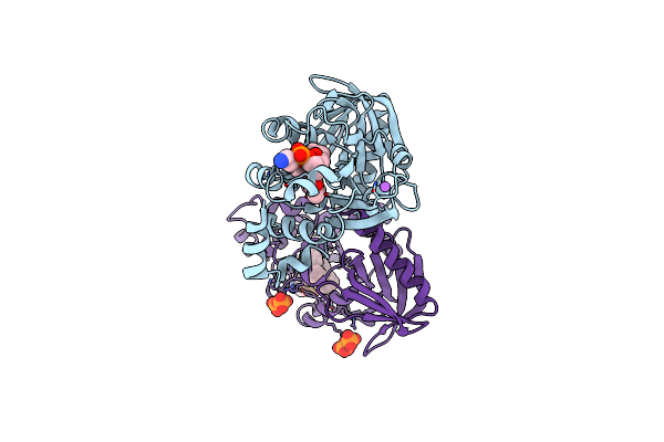 3P7Z image