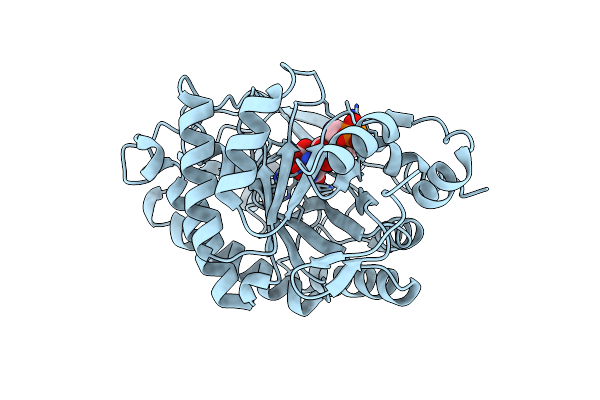 3P8I image