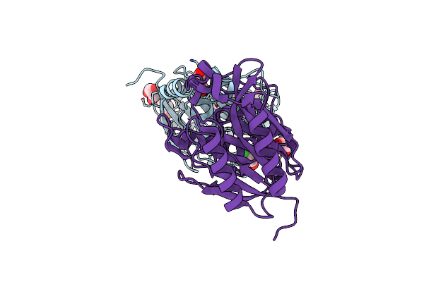 3P8K image