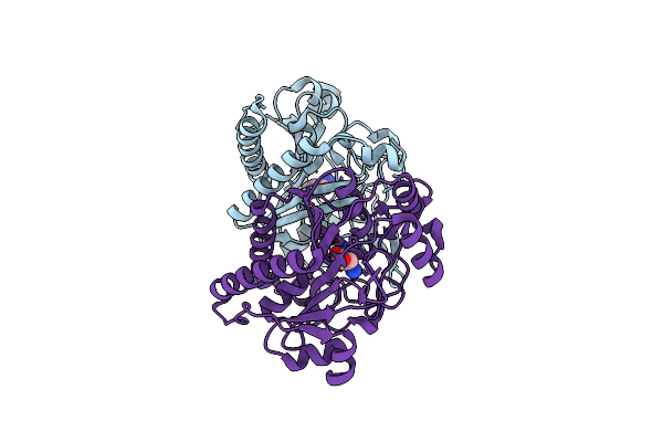 3P8Y image