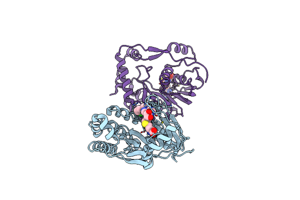 3P8Z image