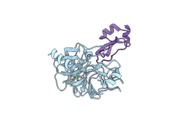 3P95 image