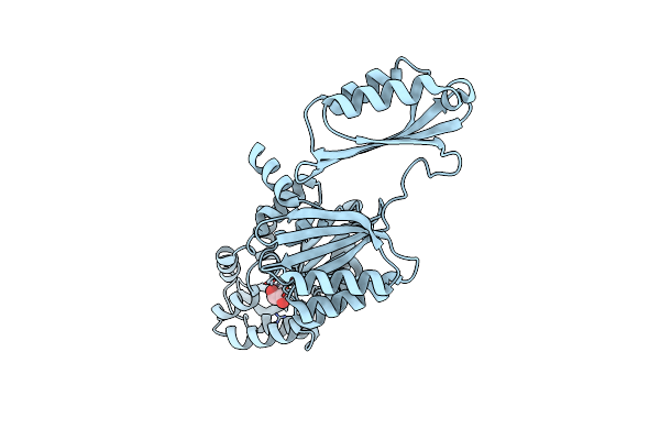 3P96 image