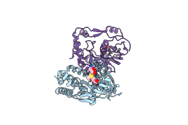 3P97 image